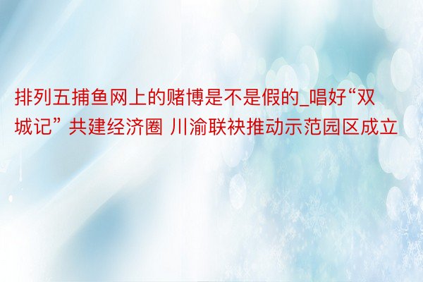 排列五捕鱼网上的赌博是不是假的_唱好“双城记” 共建经济圈 川渝联袂推动示范园区成立