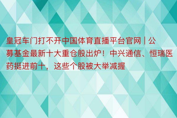 皇冠车门打不开中国体育直播平台官网 | 公募基金最新十大重仓股出炉！中兴通信、恒瑞医药挺进前十，这些个股被大举减握