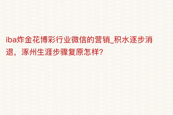 iba炸金花博彩行业微信的营销_积水逐步消退，涿州生涯步骤复原怎样？