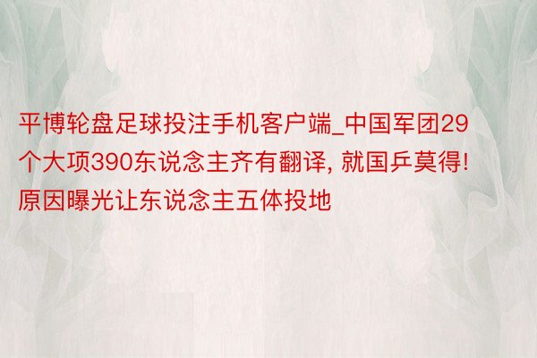 平博轮盘足球投注手机客户端_中国军团29个大项390东说念主齐有翻译, 就国乒莫得! 原因曝光让东说念主五体投地